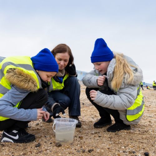 Coastal school in action